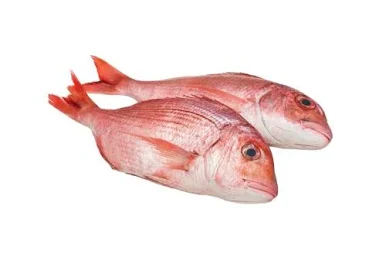 Dorade rose au kilo