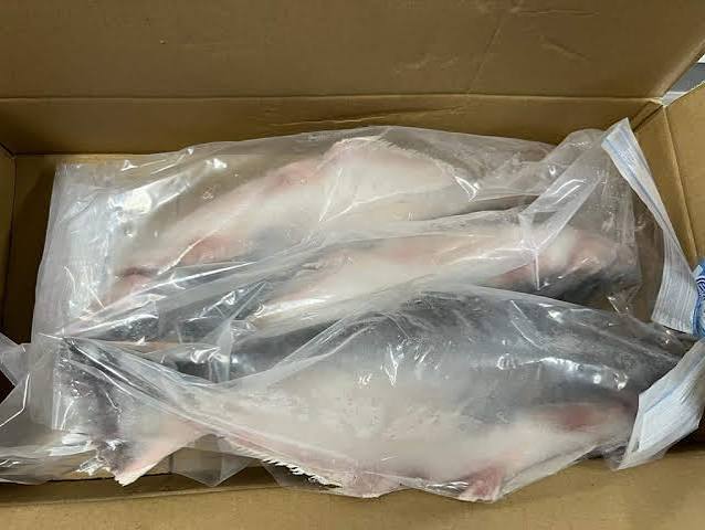panga carton