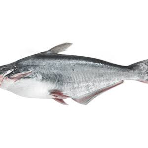 PANGA / MALANGUA  x1kg